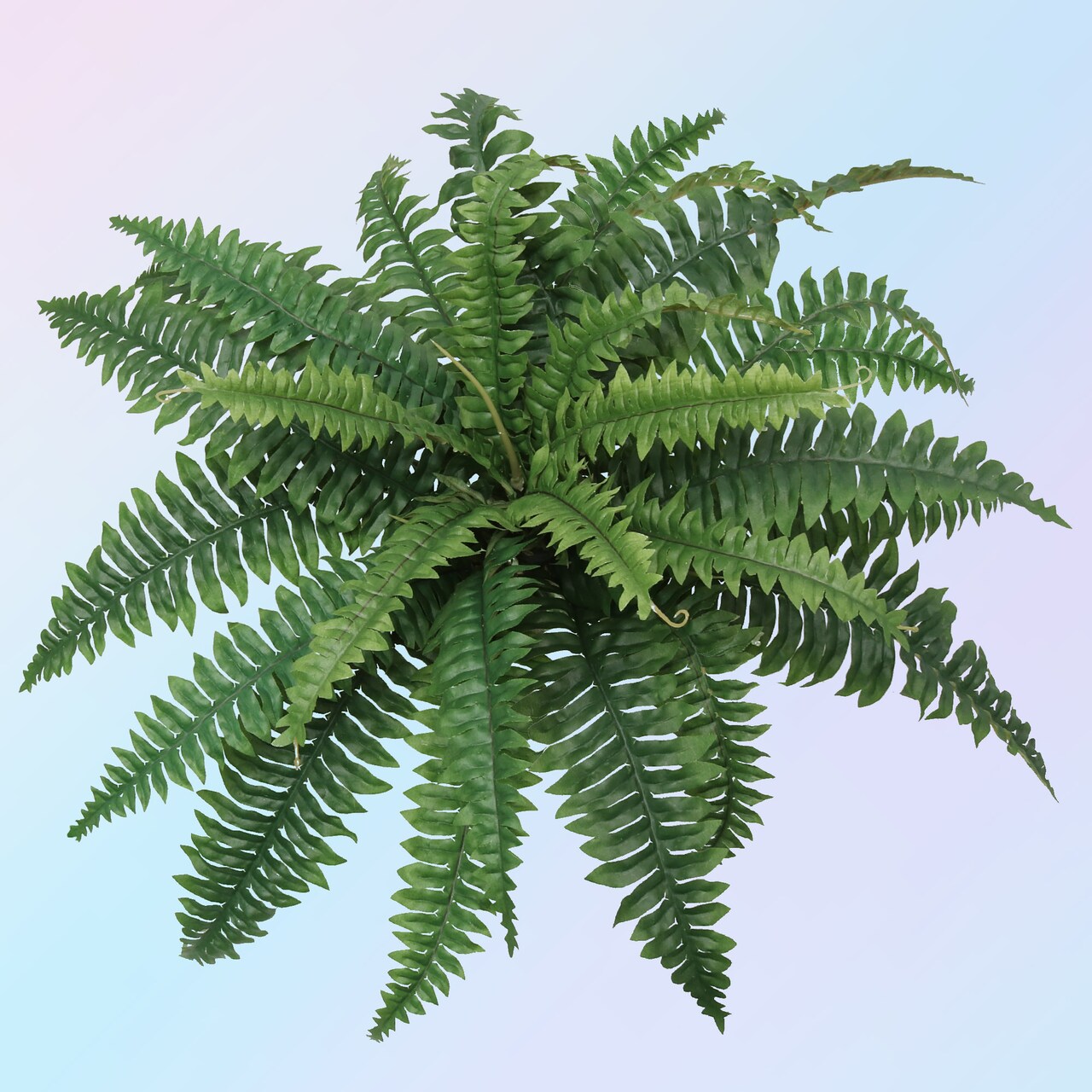 Lifelike Boston Fern Faux Plant - UV-Resistant Silk Greenery for Indoor/Outdoor Decor, Perfect for Living Rooms and Patios – Floral Home by Artificial Flowers